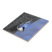 White-Breasted Nuthatch schilderende Originele Bir Tegeltje (Zijkant)