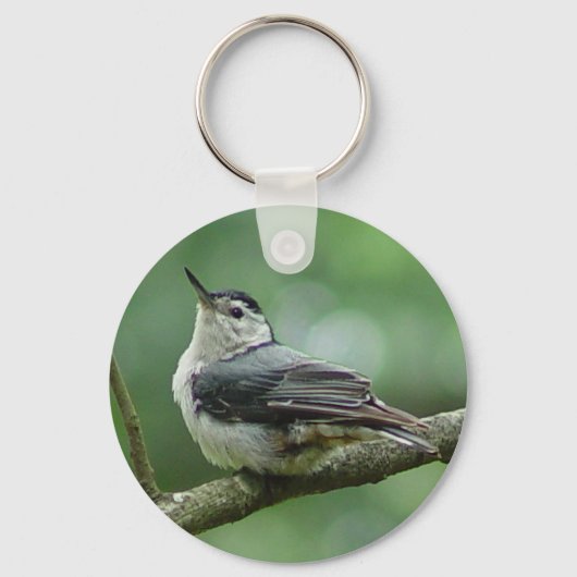 White Breasted Nuthatch Sleutelhanger 2 (Voorkant)