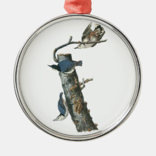 White-breasted Nuthatch van Audubon Metalen Ornament