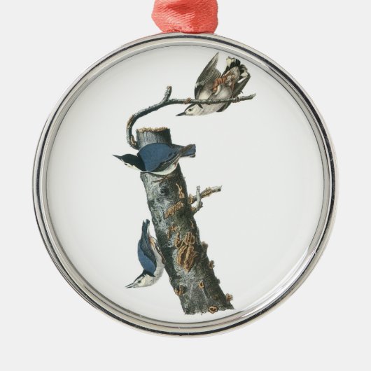 White-breasted Nuthatch van Audubon Metalen Ornament (Voorkant)