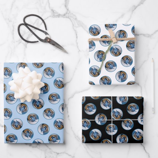 White-Breasted Nuthatch Vliegende Originele Foto Inpakpapier Vel (Voorkant)