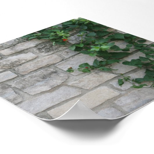 White Brick Vine Photo Backdrop Poster (Hoek)