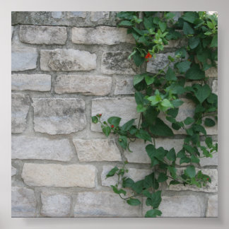 White Brick Vine Photo Backdrop Poster