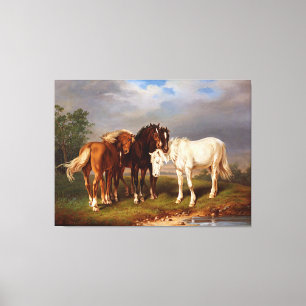 White Brown Caramel Horse Canvas Afdruk