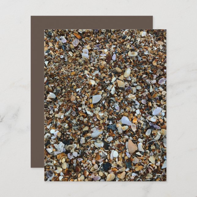 White Brown Coquina Zee Shell Beach ScrapbookPaper (Voorkant / Achterkant)