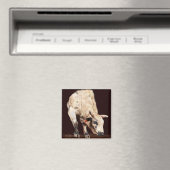 White Bucking Rodeo Bull Magneet (Insitu (Vaatwasser))