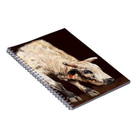 White Bucking Rodeo Bull Notitieboek