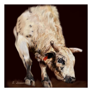 White Bucking Rodeo Bull Perfect Poster