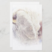 White Buffalo Stationery Briefpapier (Voorkant / Achterkant)