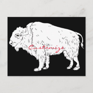 White Buffalo Thunder_Cove Briefkaart