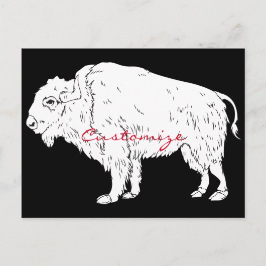 White Buffalo Thunder_Cove Briefkaart (Voorkant)