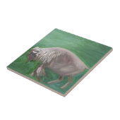 White Buffalo Tile Tegeltje (Zijkant)