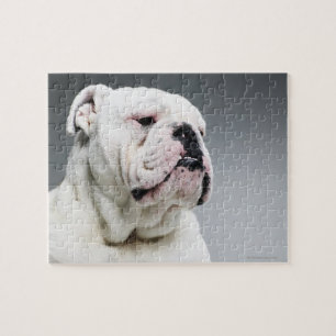 White Bull Dog Legpuzzel