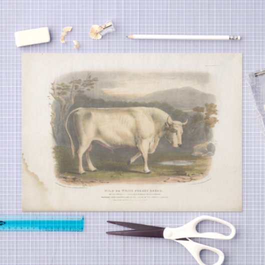 White Bull Koe Ephemera Decoupage  Boerderij Tissuepapier (Craft)