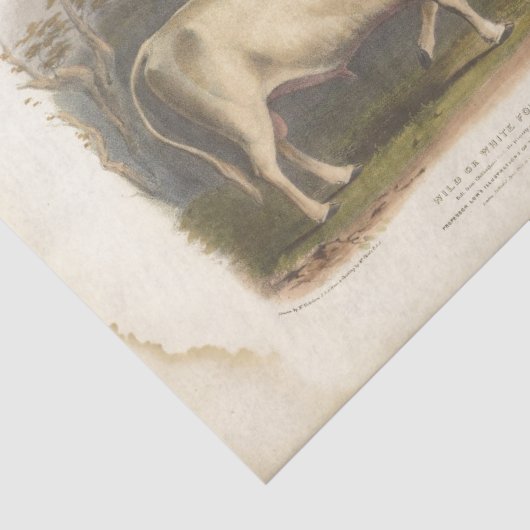 White Bull Koe Ephemera Decoupage  Boerderij Tissuepapier (Detail)