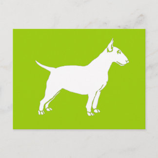 White Bull Terrier Briefkaart
