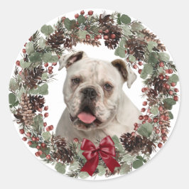 White Bulldog Pinecone Wreater Kerstmis Ronde Sticker