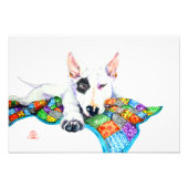 White Bullterrier op Patchwork - Kunst Foto Afdruk (Voorkant)