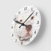 White bully Pitbull Ronde Klok (Hoek)