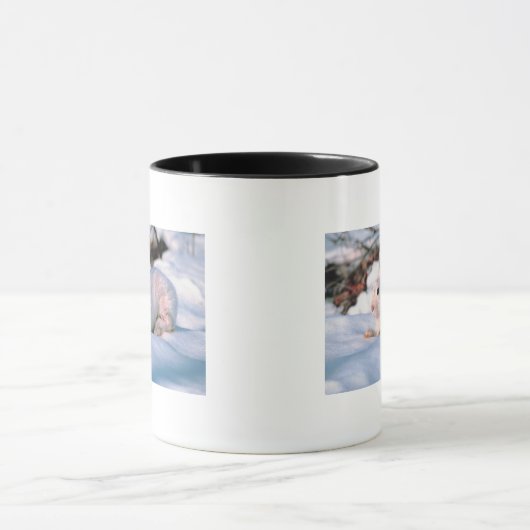 White Bunny Mok (Midden)