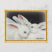 White Bunny Rabbit Briefkaart (Voorkant)