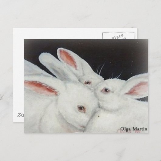 White Bunny Rabbit Briefkaart (Voorkant / Achterkant)