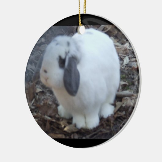 White Bunny Rabbit Happy Pasen Keramisch Ornament (Links)