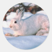White Bunny Ronde Sticker (Voorkant)