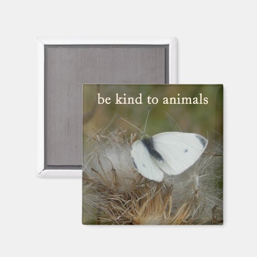 White Butterfly "Be Kind to Animals" Magnet (Voorkant / Achterkant)
