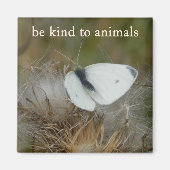 White Butterfly "Be Kind to Animals" Magnet (Voorkant)