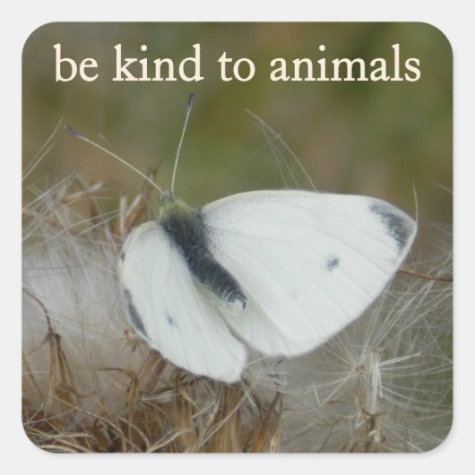 White Butterfly "Be Kind to Animals" Sticker Sheet (Voorkant)