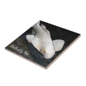 White Butterfly Koi Foto Tegeltje (Zijkant)