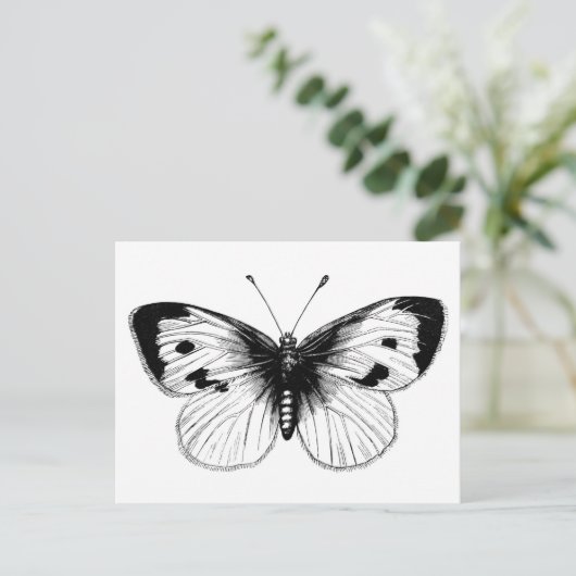 White Cabbage Butterfly Illustratie Briefkaart (Staand voorkant)