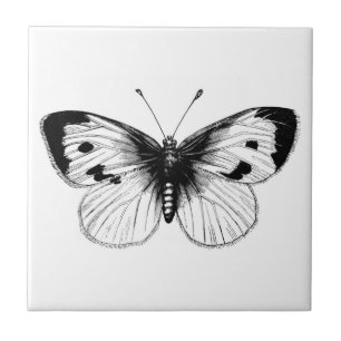  White Cabbage Butterfly Illustratie Tegeltje