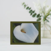 White Cala Lily Briefkaart (Staand voorkant)