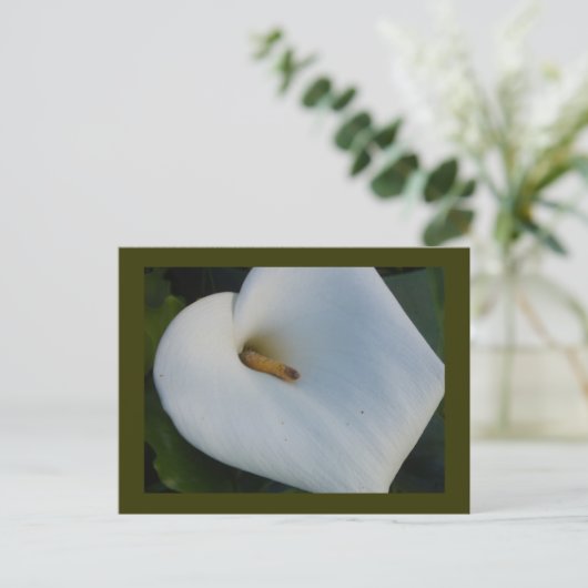 White Cala Lily Briefkaart (Staand voorkant)