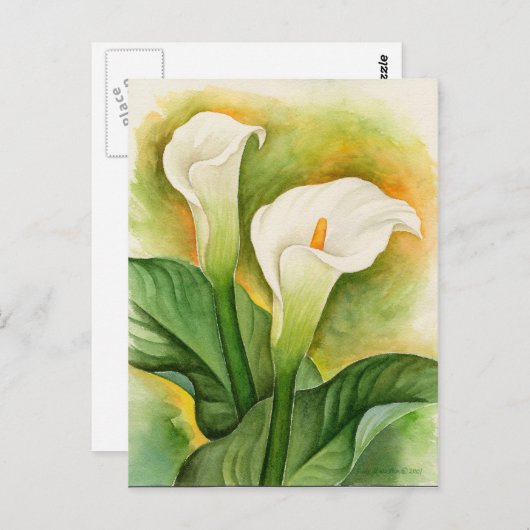 White Cala Lily Floral Waterverf Briefkaart (Voorkant / Achterkant)