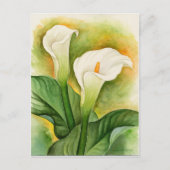 White Cala Lily Floral Waterverf Briefkaart (Voorkant)