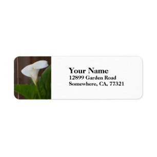 White Cali Lily Etiket