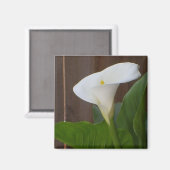 White Cali Lily Magneet (Voorkant / Achterkant)