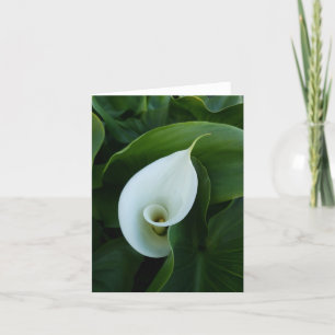 White Calla Green Leaves wenskaart Kaart