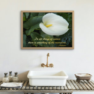 White Calla Lily Aristoteles Filosofisch citaat Folie Afdrukken
