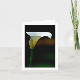 White Calla Lily Briefpapier Notitiekaartje