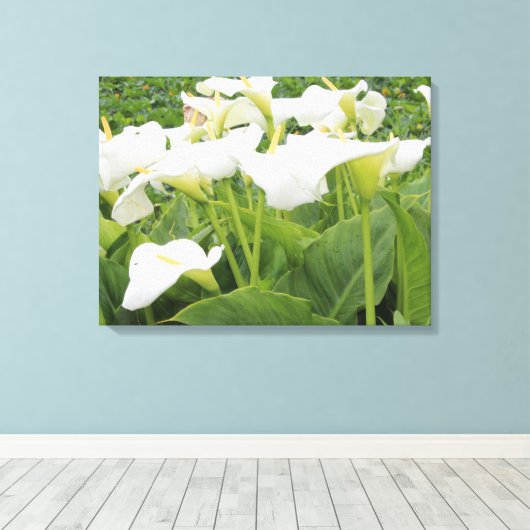 White Calla Lily Canvas Afdruk (Insitu (Houten vloer))