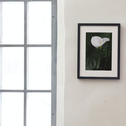 White Calla Lily en Dark Leaves Floral Foto Afdruk