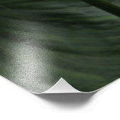 White Calla Lily en Dark Leaves Floral Foto Afdruk (Hoek)