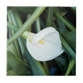 White Calla Lily en Green Foliage Floral Tegeltje (Voorkant)