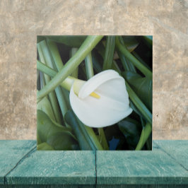 White Calla Lily en Green Foliage Floral Tegeltje