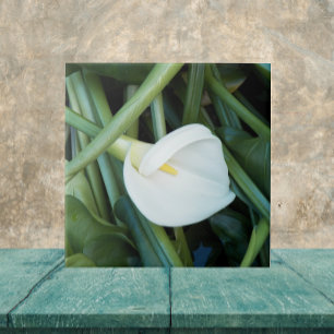 White Calla Lily en Green Foliage Floral Tegeltje