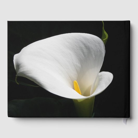 White Calla Lily Floral Memorial Service Gastenboek (Achterkant)